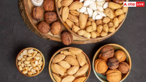 Walnuts vs Almonds: दिमाग तेज करने के लिए दोनों में कौन सा है बेस्ट? जानें खाने का तरीका