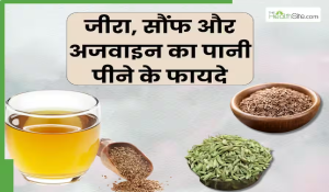 सोने से पहले इस तरह खाएं अजवाइन-सौंफ और जीरा, पिघल जाएगा बॉडी फैट, कम होगी एसिडिटी