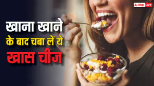 रोज खाने के बाद चबा लें ये एक चीज, पेट की सारी दिक्कत हो जाएगी खत्म