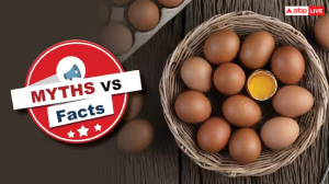 Myths Vs Facts: डायबिटीज मरीजों के लिए रोजाना अंडे खाना सही है? आइए जानें क्या है पूरा सच