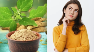 कैसे करना चाहिए अश्वगंधा का सेवन, खाने से शरीर और सेहत पर क्या असर पड़ता है?